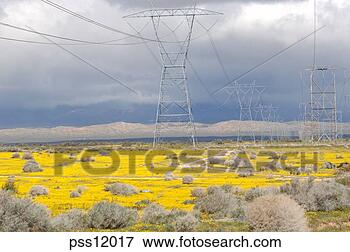 Picture - high tension power 
lines and field. 
fotosearch - search 
stock photos, 
pictures, images, 
and photo clipart
