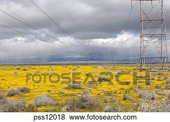 Stock Photo - high tension power 
lines and field. 
fotosearch - search 
stock photos, 
pictures, images, 
and photo clipart