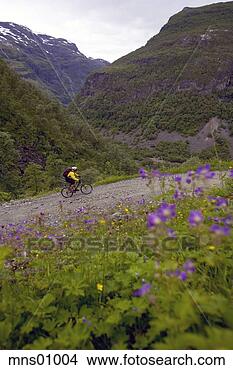 Stock Photo - man mountain biking 
on dirt path. 
fotosearch - search 
stock photos, 
pictures, images, 
and photo clipart