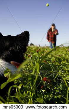 Stock Photograph - man playing with 
dog in countryside. 
fotosearch - search 
stock photos, 
pictures, images, 
and photo clipart