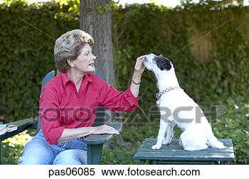 Stock Image - middle-aged woman 
feeding dog. fotosearch 
- search stock 
photos, pictures, 
images, and photo 
clipart