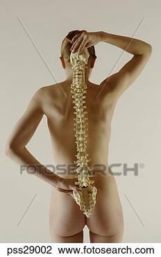 Stock Photo - nude woman holding 
spine. fotosearch 
- search stock 
photos, pictures, 
images, and photo 
clipart
