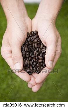 Stock Photo - person holding 
coffee beans. 
fotosearch - search 
stock photos, 
pictures, images, 
and photo clipart
