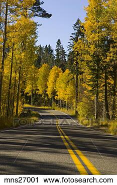 Stock Photography - rural road in 
autumn. fotosearch 
- search stock 
photos, pictures, 
images, and photo 
clipart