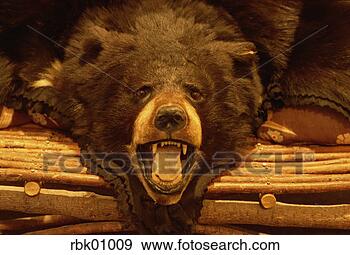 Stock Photograph - taxidermy bear 
skin. fotosearch 
- search stock 
photos, pictures, 
images, and photo 
clipart