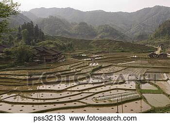 Stock Photo - view of rice paddy 
fields and mountains, 
guilin, china. 
fotosearch - search 
stock photos, 
pictures, images, 
and photo clipart