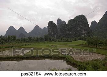 Stock Photo - view of rice paddy 
fields. fotosearch 
- search stock 
photos, pictures, 
images, and photo 
clipart
