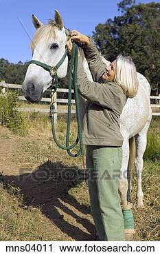 Stock Photography - woman attaching 
horse's bridle. 
fotosearch - search 
stock photos, 
pictures, images, 
and photo clipart