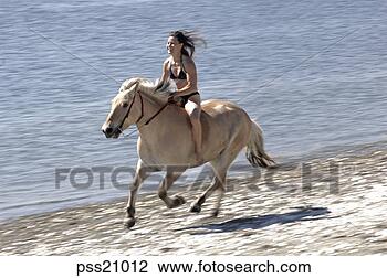 Stock Photo - woman riding a 
horse on beach. 
fotosearch - search 
stock photos, 
pictures, images, 
and photo clipart
