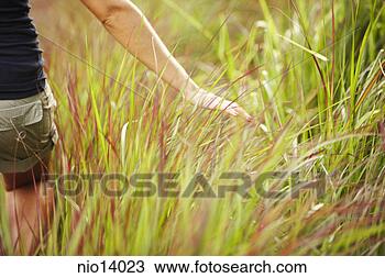 Stock Photo - woman walking 
through tall grass. 
fotosearch - search 
stock photos, 
pictures, images, 
and photo clipart