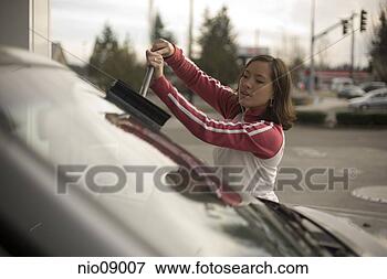 Picture - woman washing 
car windshield. 
fotosearch - search 
stock photos, 
pictures, images, 
and photo clipart