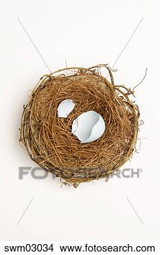 Stock Photo - bird’s nest with 
empty eggshell. 
fotosearch - search 
stock photos, 
pictures, images, 
and photo clipart