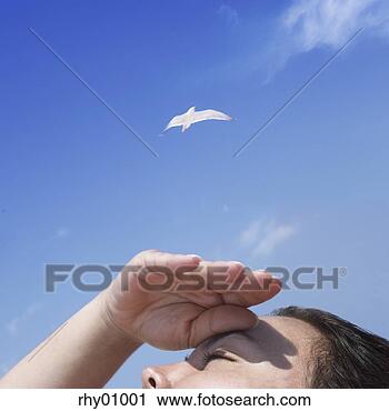 Stock Photography - boy looking up 
at bird in sky. 
fotosearch - search 
stock photos, 
pictures, images, 
and photo clipart