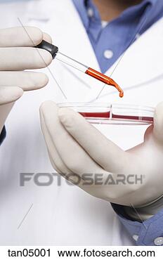 Stock Photography - close up of dropper 
and petri dish. 
fotosearch - search 
stock photos, 
pictures, images, 
and photo clipart