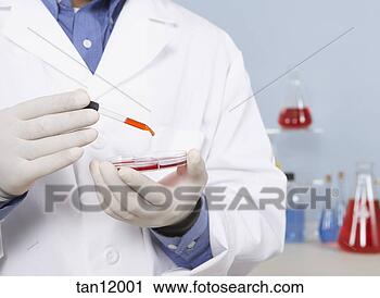 Stock Photography - close up of dropper 
and petri dish. 
fotosearch - search 
stock photos, 
pictures, images, 
and photo clipart