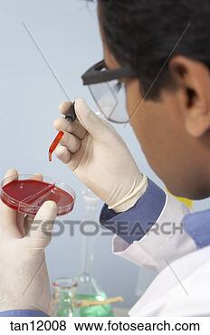 Stock Photo - close up of dropper 
and petri dish. 
fotosearch - search 
stock photos, 
pictures, images, 
and photo clipart