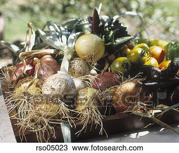 Stock Photo - close up of vegetables. 
fotosearch - search 
stock photos, 
pictures, images, 
and photo clipart