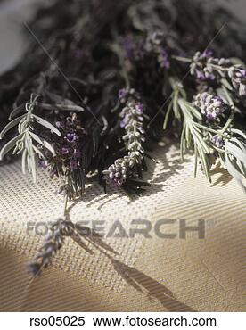 Stock Image - dried lavender. 
fotosearch - search 
stock photos, 
pictures, images, 
and photo clipart