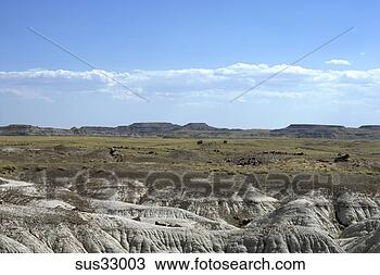 Stock Photo - field of petrified 
wood in petrified 
forest national 
park, arizona. 
fotosearch - search 
stock photos, 
pictures, images, 
and photo clipart