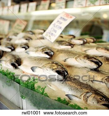 Stock Photography - fish in market. 
fotosearch - search 
stock photos, 
pictures, images, 
and photo clipart