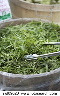 Stock Photography - fresh herbs in 
barrel. fotosearch 
- search stock 
photos, pictures, 
images, and photo 
clipart