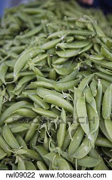 Stock Photo - fresh peas. fotosearch 
- search stock 
photos, pictures, 
images, and photo 
clipart