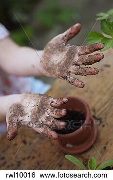 Stock Photo - girl with dirty 
hands potting 
plants. fotosearch 
- search stock 
photos, pictures, 
images, and photo 
clipart