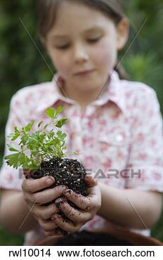 Stock Photo - girl planting 
parsley. fotosearch 
- search stock 
photos, pictures, 
images, and photo 
clipart