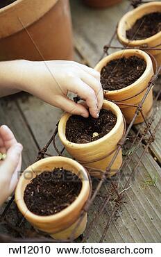 Stock Photography - girl planting 
seeds. fotosearch 
- search stock 
photos, pictures, 
images, and photo 
clipart