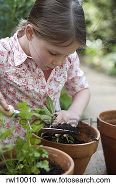 Stock Photography - girl potting plants. 
fotosearch - search 
stock photos, 
pictures, images, 
and photo clipart