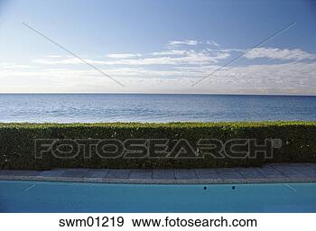 Stock Photograph - hedge separating 
ocean and pool. 
fotosearch - search 
stock photos, 
pictures, images, 
and photo clipart