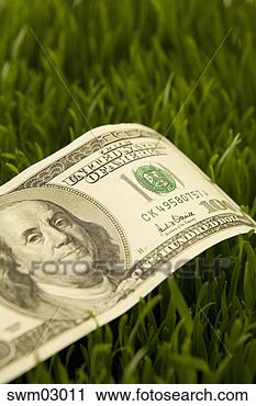 Stock Photography - hundred dollar 
bill in grass. 
fotosearch - search 
stock photos, 
pictures, images, 
and photo clipart