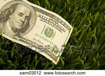 Stock Photo - hundred dollar 
bill in grass. 
fotosearch - search 
stock photos, 
pictures, images, 
and photo clipart