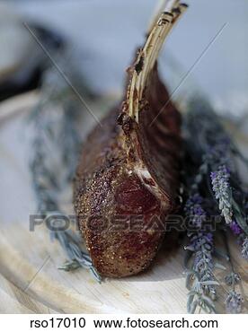 Stock Photography - lamb chop and 
lavender garnish. 
fotosearch - search 
stock photos, 
pictures, images, 
and photo clipart
