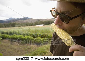 Picture - man eating corn 
on the cob. fotosearch 
- search stock 
photos, pictures, 
images, and photo 
clipart