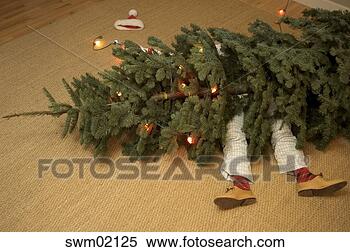Stock Image - man stuck underneath 
fallen christmas 
tree. fotosearch 
- search stock 
photos, pictures, 
images, and photo 
clipart