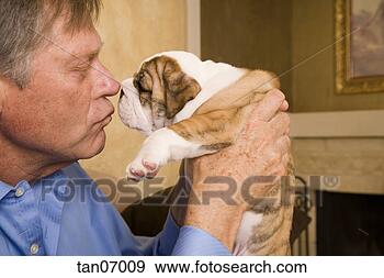 Stock Photograph - mature man kissing 
english bulldog 
puppy. fotosearch 
- search stock 
photos, pictures, 
images, and photo 
clipart