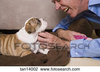 Stock Photo - mature man kissing 
english bulldog 
puppy. fotosearch 
- search stock 
photos, pictures, 
images, and photo 
clipart