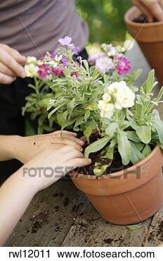 Stock Photography - mother and daughter 
potting plants. 
fotosearch - search 
stock photos, 
pictures, images, 
and photo clipart