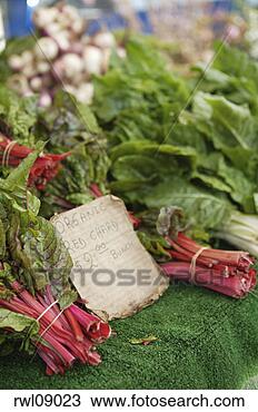 Stock Photo - organic chard. 
fotosearch - search 
stock photos, 
pictures, images, 
and photo clipart