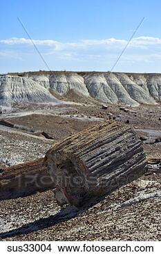 Stock Photo - petrified wood 
in petrified forest 
national park, 
arizona. fotosearch 
- search stock 
photos, pictures, 
images, and photo 
clipart