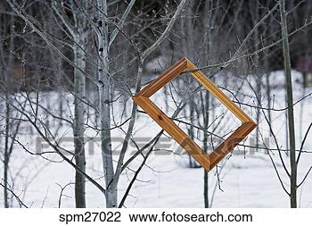 Stock Photo - picture frame 
hanging from branch 
on tree in winter. 
fotosearch - search 
stock photos, 
pictures, images, 
and photo clipart
