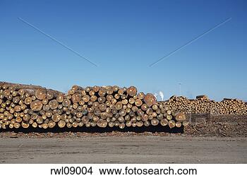 Stock Photo - pile of logs. 
fotosearch - search 
stock photos, 
pictures, images, 
and photo clipart