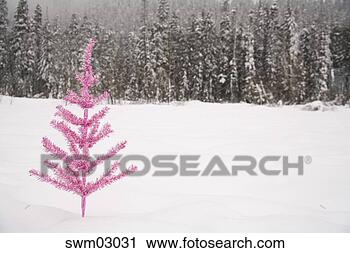 Stock Photography - pink tree growing 
in snow. fotosearch 
- search stock 
photos, pictures, 
images, and photo 
clipart