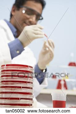 Stock Photo - scientist working 
in laboratory. 
fotosearch - search 
stock photos, 
pictures, images, 
and photo clipart