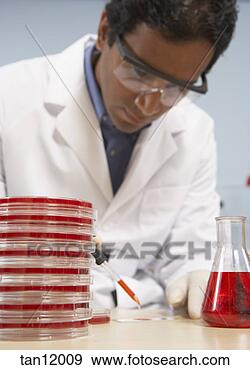 Stock Photograph - scientist working 
in laboratory. 
fotosearch - search 
stock photos, 
pictures, images, 
and photo clipart