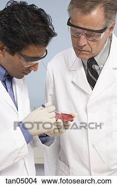 Stock Photo - scientists looking 
at petri dish. 
fotosearch - search 
stock photos, 
pictures, images, 
and photo clipart