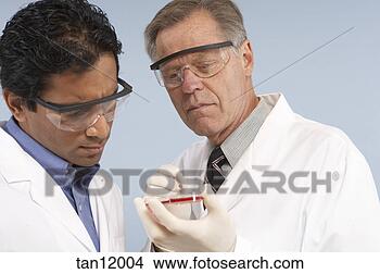Stock Photo - scientists looking 
at petri dish. 
fotosearch - search 
stock photos, 
pictures, images, 
and photo clipart