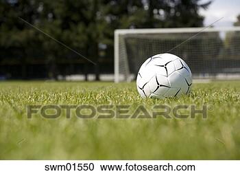 Stock Photography - soccer ball on 
grass near goal 
net. fotosearch 
- search stock 
photos, pictures, 
images, and photo 
clipart