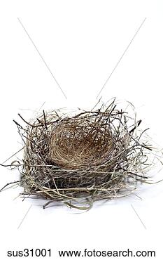Stock Photography - studio shot of 
bird’s nest. fotosearch 
- search stock 
photos, pictures, 
images, and photo 
clipart